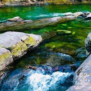 Meet your Posher, Julia